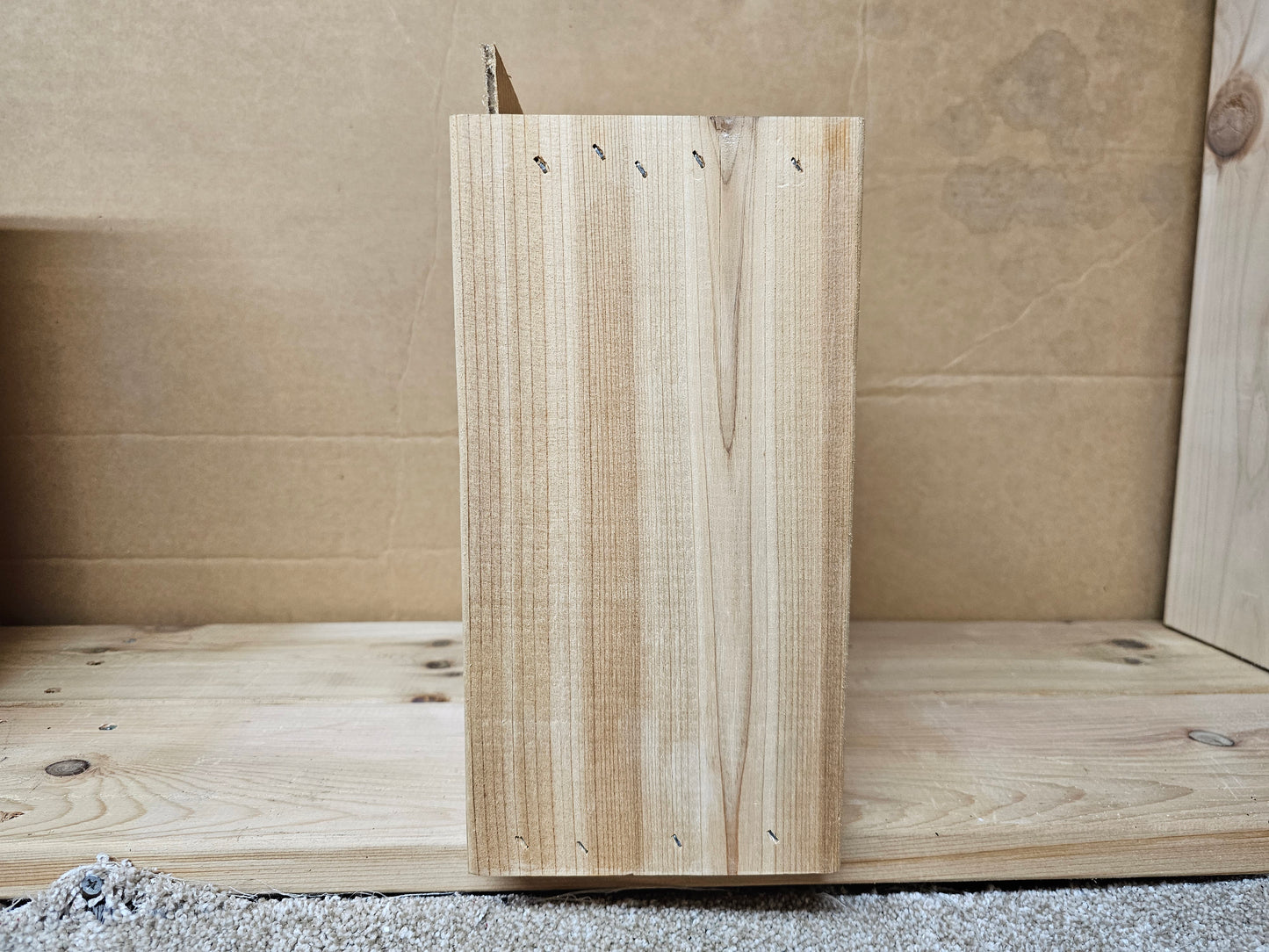 Target Silent/Pellet/BB Trap - Small - 9 1/2"x10 1/2"