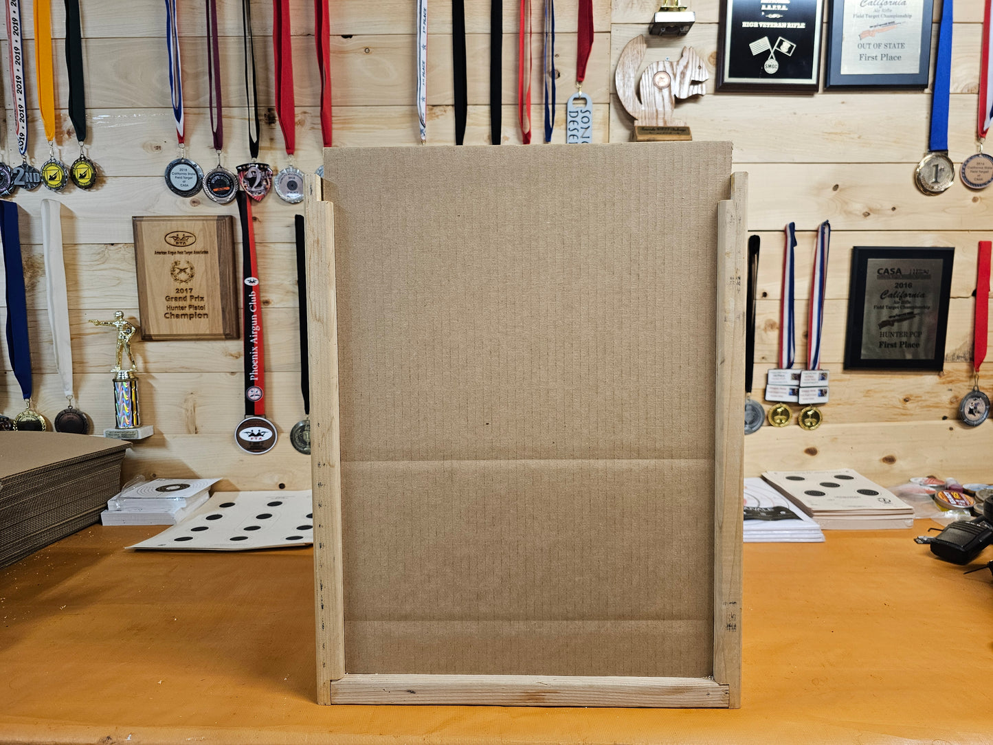 Target Silent/Pellet/BB - Large 16" x 20"