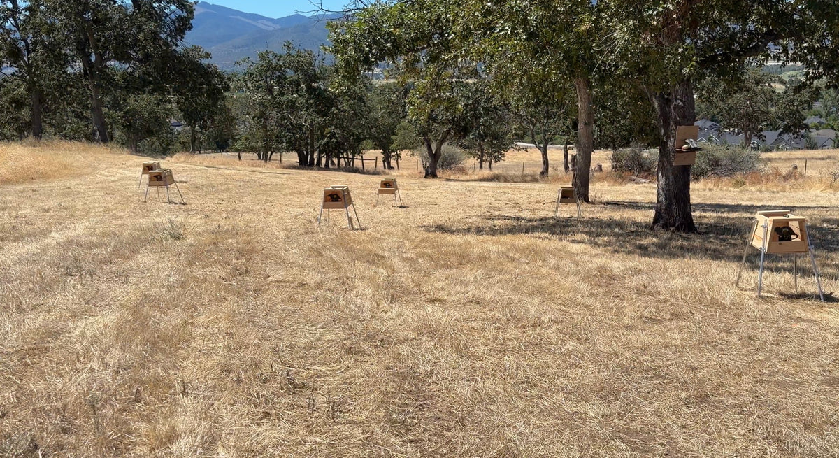 Lead Catching Field Target Box
