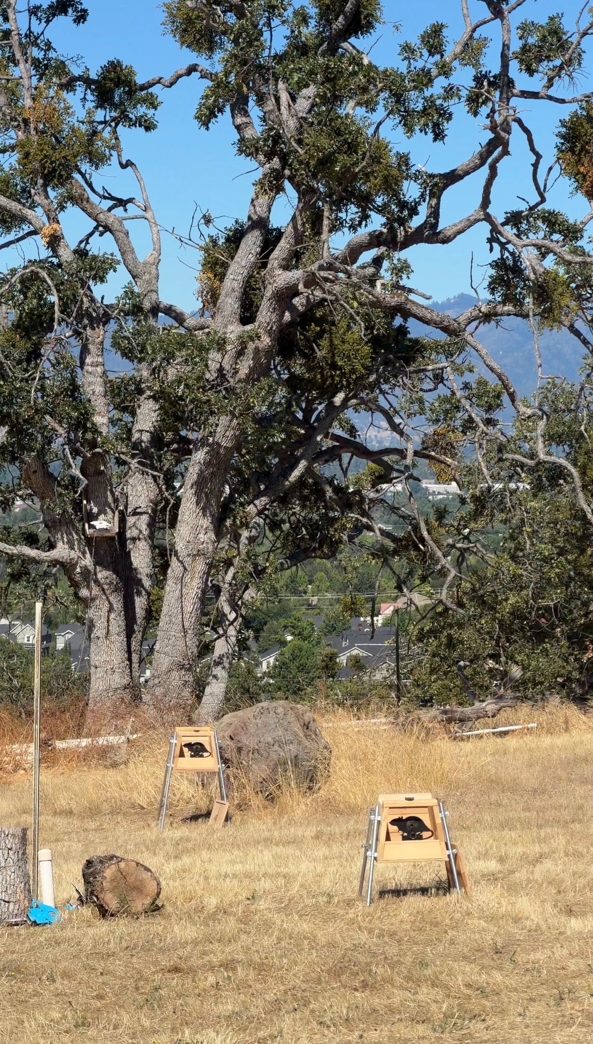 Lead Catching Field Target Box